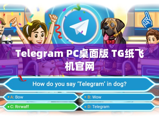 Telegram PC桌面版 TG纸飞机官网