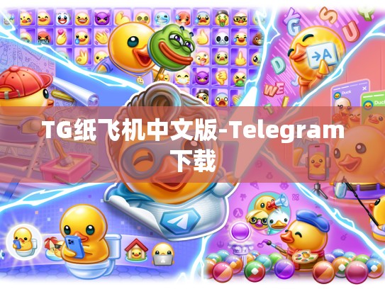 TG纸飞机中文版-Telegram下载