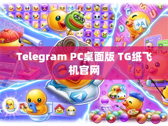 Telegram PC桌面版 TG纸飞机官网