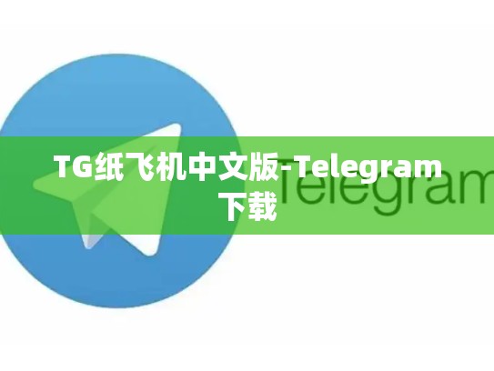 TG纸飞机中文版-Telegram下载