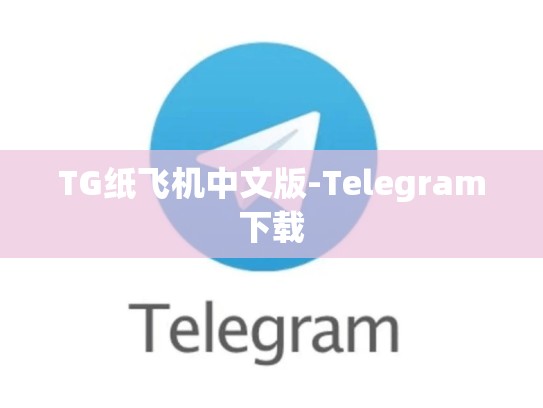 TG纸飞机中文版-Telegram下载