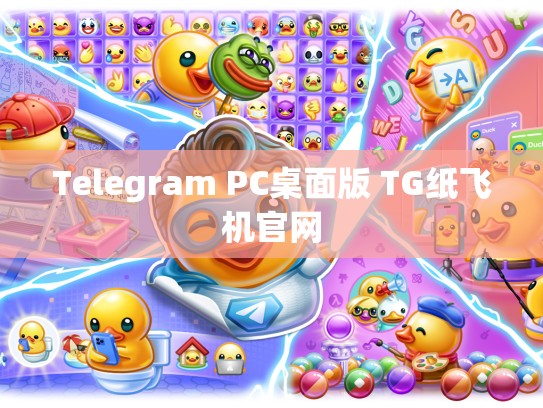 Telegram PC桌面版 TG纸飞机官网