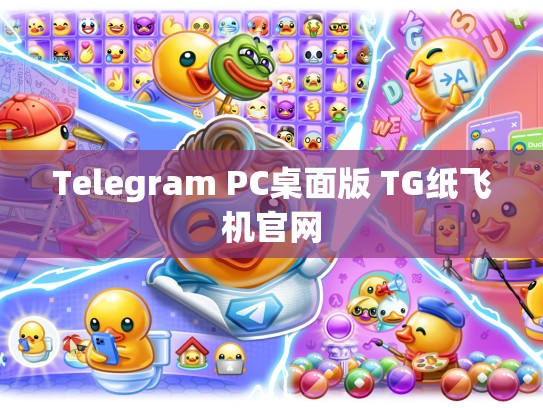 Telegram PC桌面版 TG纸飞机官网