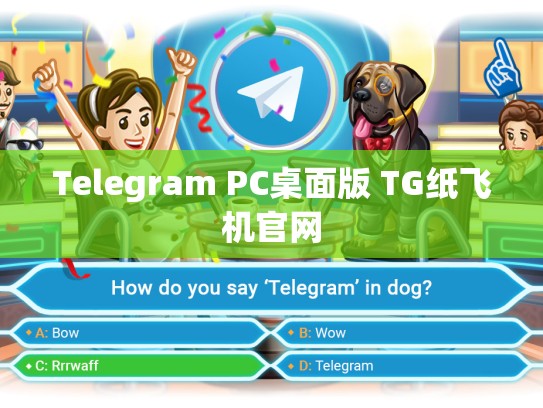 Telegram PC桌面版 TG纸飞机官网