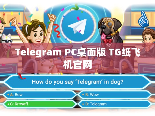 Telegram PC桌面版 TG纸飞机官网