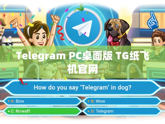 Telegram PC桌面版 TG纸飞机官网