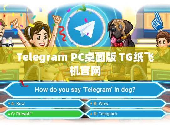 Telegram PC桌面版 TG纸飞机官网