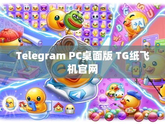 Telegram PC桌面版 TG纸飞机官网