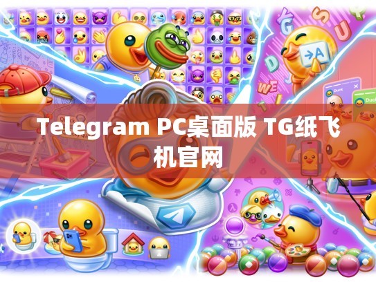 Telegram PC桌面版 TG纸飞机官网