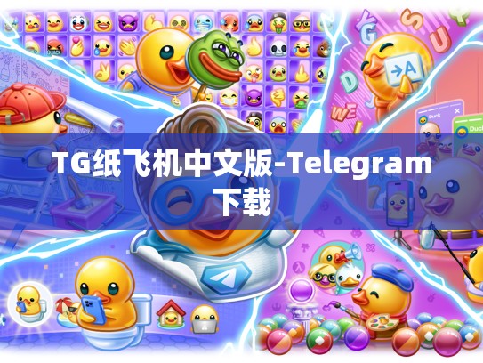 TG纸飞机中文版-Telegram下载