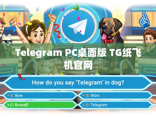 Telegram PC桌面版 TG纸飞机官网