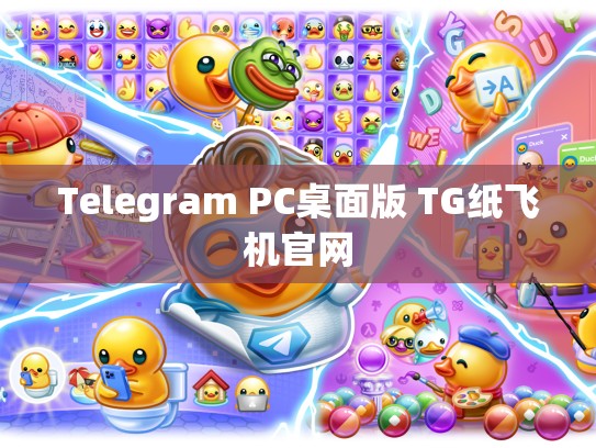 Telegram PC桌面版 TG纸飞机官网