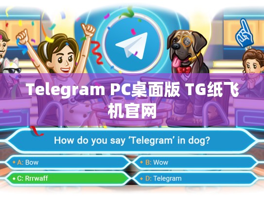 Telegram PC桌面版 TG纸飞机官网