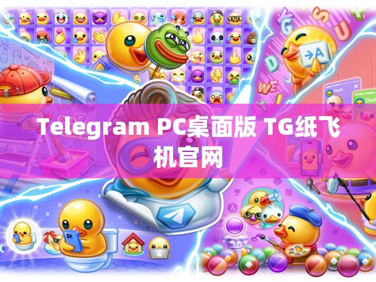 Telegram PC桌面版 TG纸飞机官网