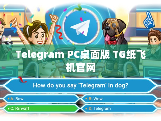Telegram PC桌面版 TG纸飞机官网