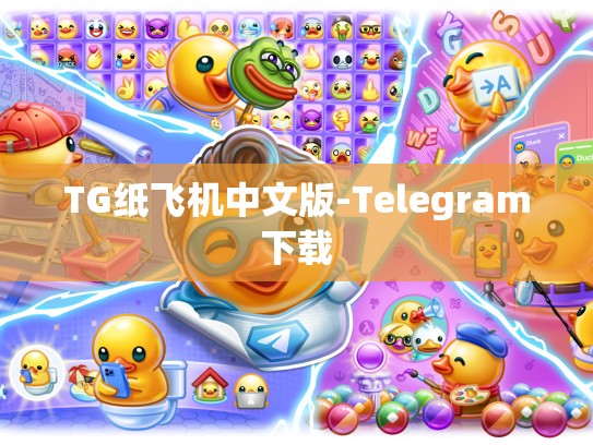 TG纸飞机中文版-Telegram下载