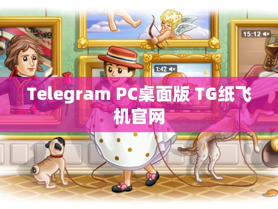 Telegram PC桌面版 TG纸飞机官网