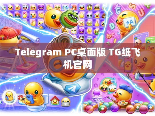 Telegram PC桌面版 TG纸飞机官网