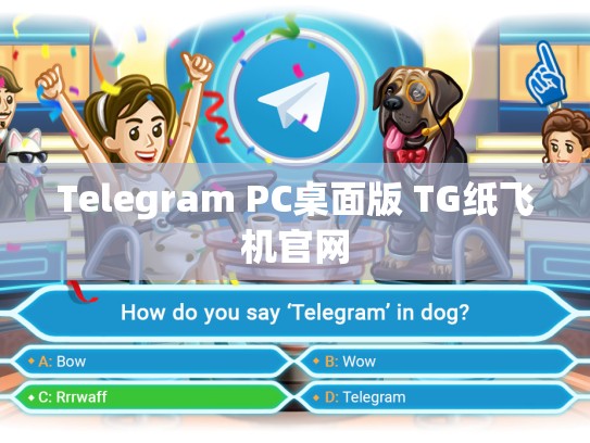 Telegram PC桌面版 TG纸飞机官网