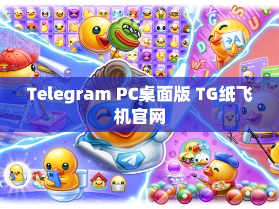 Telegram PC桌面版 TG纸飞机官网