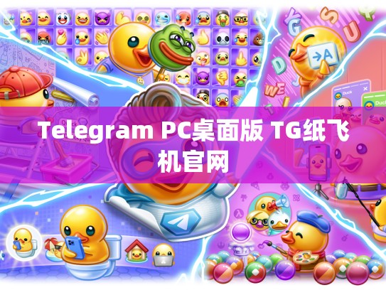Telegram PC桌面版 TG纸飞机官网
