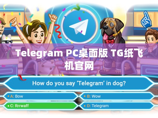 Telegram PC桌面版 TG纸飞机官网