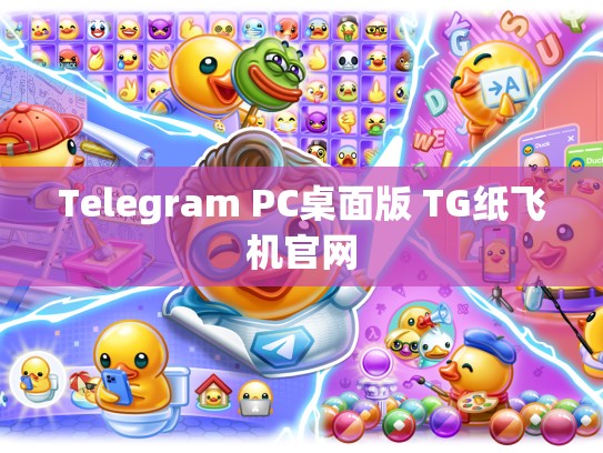 Telegram PC桌面版 TG纸飞机官网
