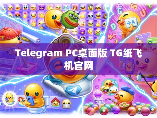 Telegram PC桌面版 TG纸飞机官网