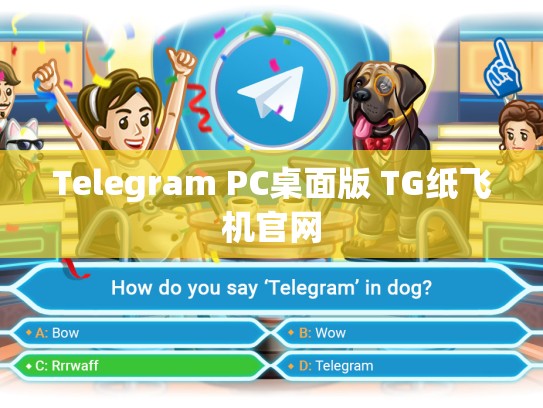 Telegram PC桌面版 TG纸飞机官网