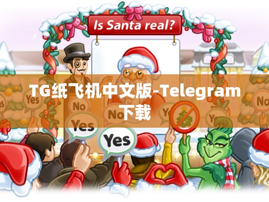 TG纸飞机中文版-Telegram下载