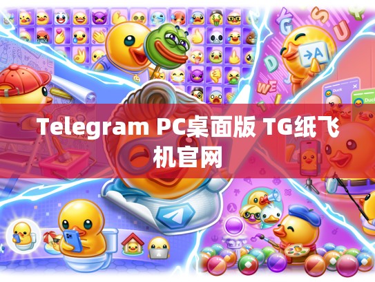 Telegram PC桌面版 TG纸飞机官网