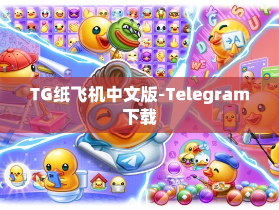 TG纸飞机中文版-Telegram下载