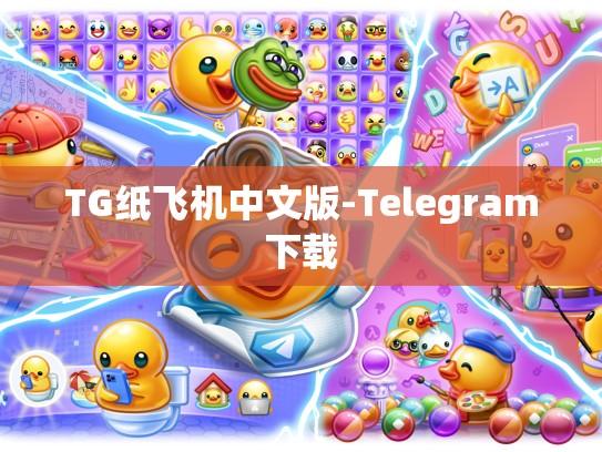 TG纸飞机中文版-Telegram下载