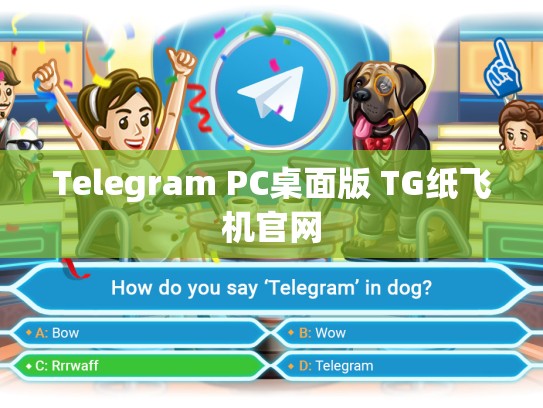 Telegram PC桌面版 TG纸飞机官网