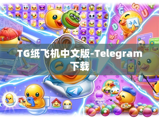 TG纸飞机中文版-Telegram下载