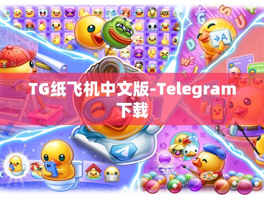 TG纸飞机中文版-Telegram下载