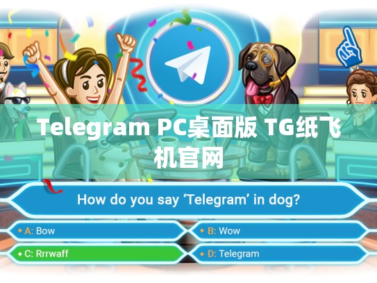 Telegram PC桌面版 TG纸飞机官网