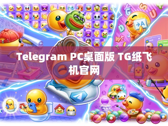 Telegram PC桌面版 TG纸飞机官网