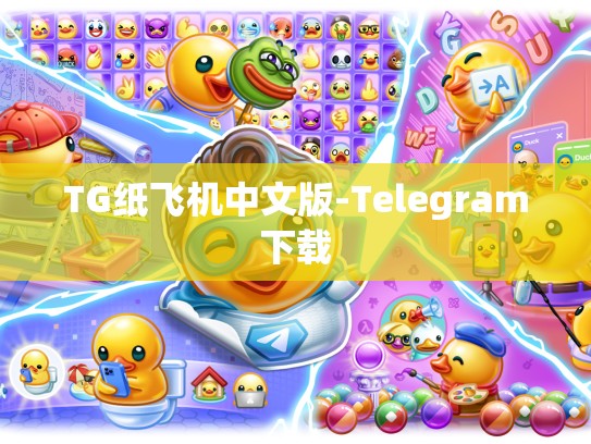 TG纸飞机中文版-Telegram下载