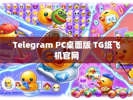 Telegram PC桌面版 TG纸飞机官网