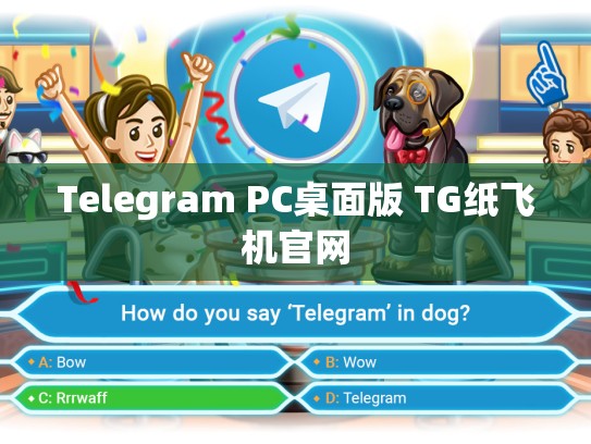 Telegram PC桌面版 TG纸飞机官网