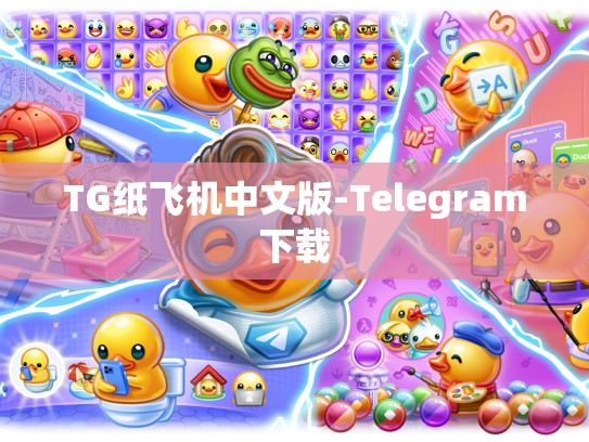TG纸飞机中文版-Telegram下载