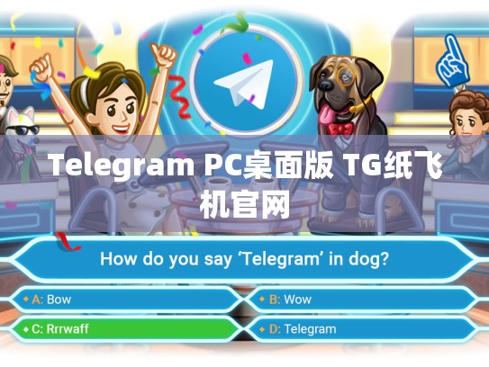 Telegram PC桌面版 TG纸飞机官网