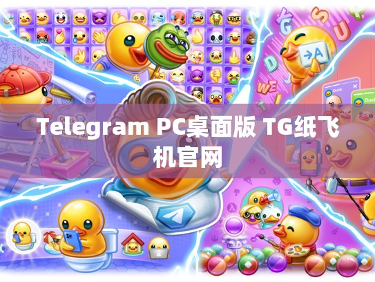 Telegram PC桌面版 TG纸飞机官网