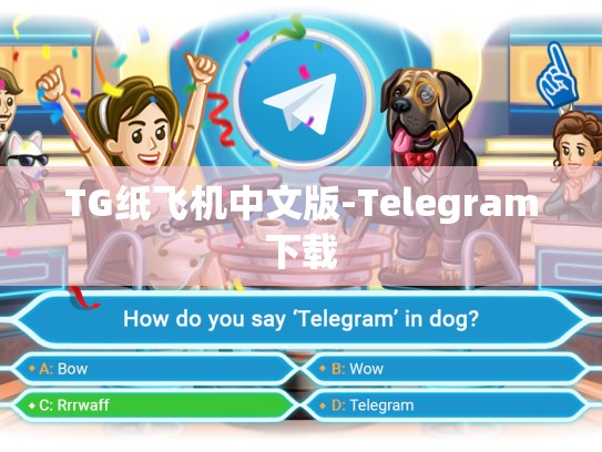 TG纸飞机中文版-Telegram下载