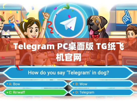 Telegram PC桌面版 TG纸飞机官网