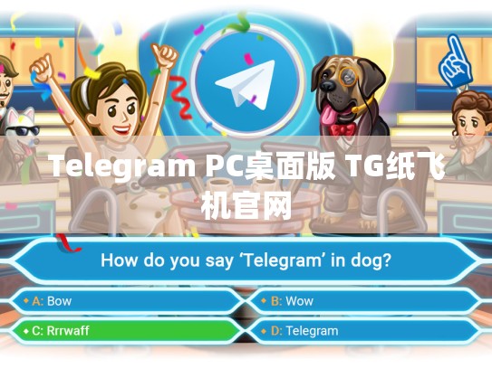 Telegram PC桌面版 TG纸飞机官网