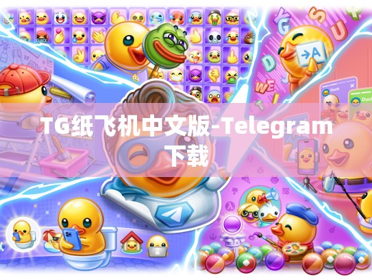 TG纸飞机中文版-Telegram下载