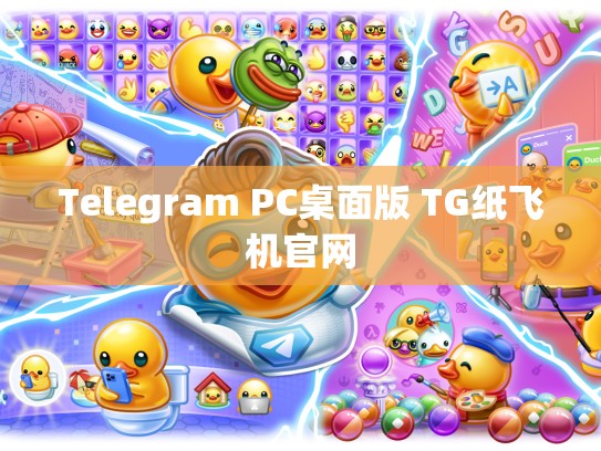 Telegram PC桌面版 TG纸飞机官网