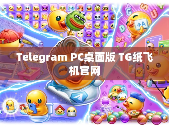 Telegram PC桌面版 TG纸飞机官网